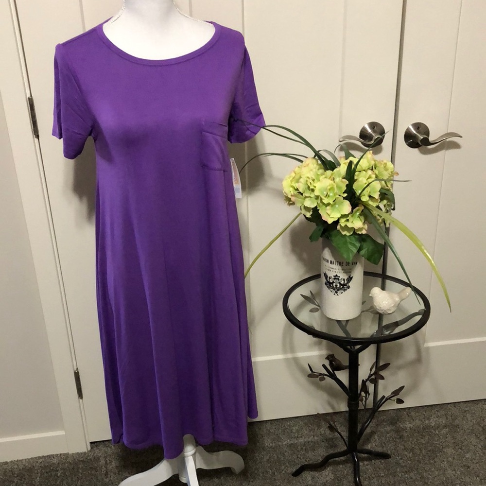 NWT LulaRoe “Carly” XS Violet Short Sleeve Tee Dress!